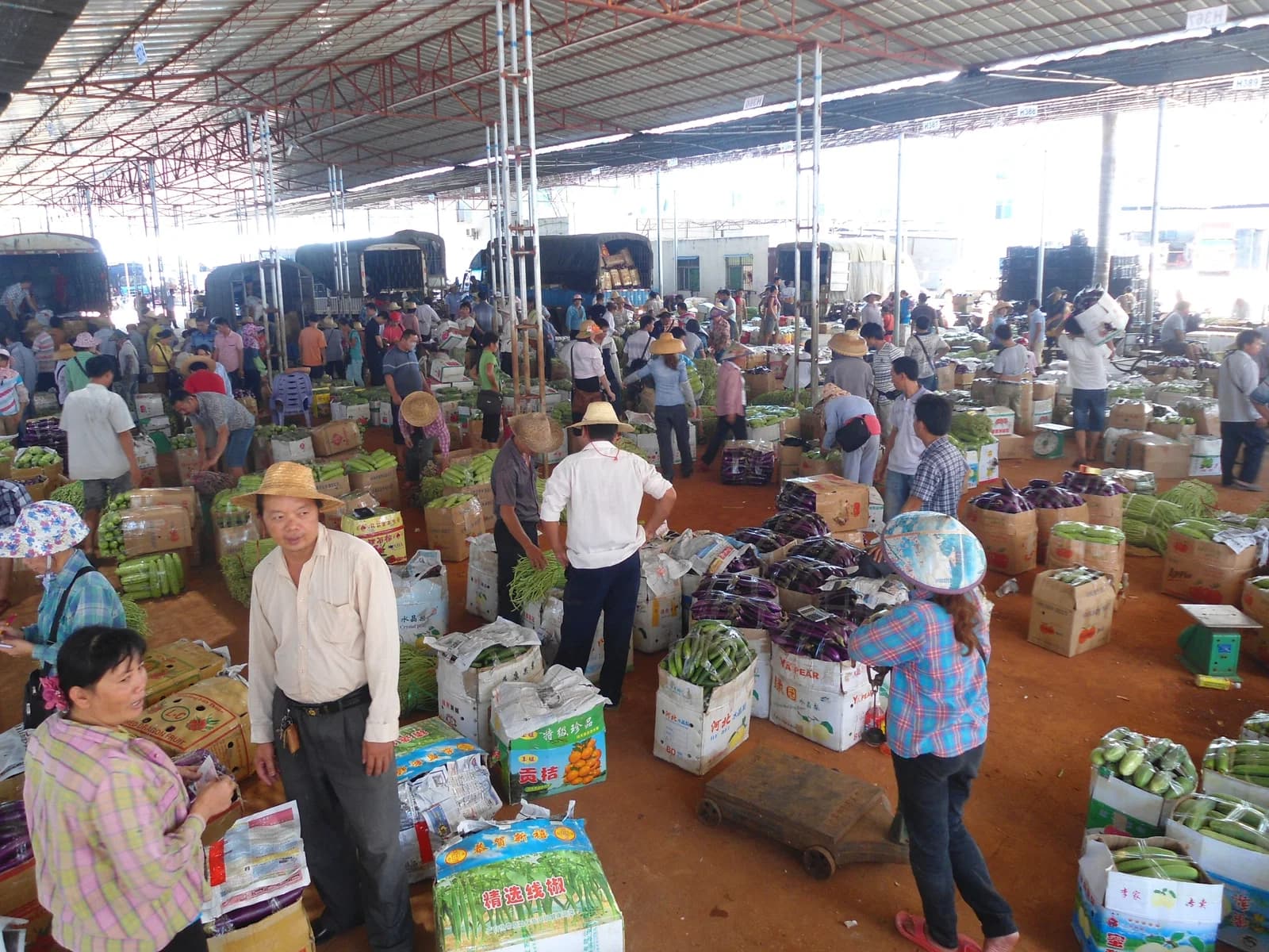 wholesaler