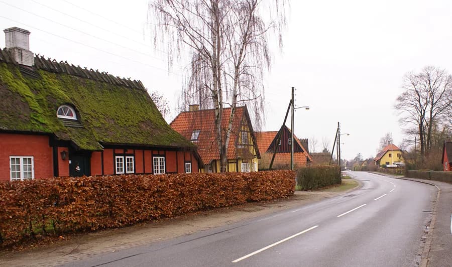 Saunte