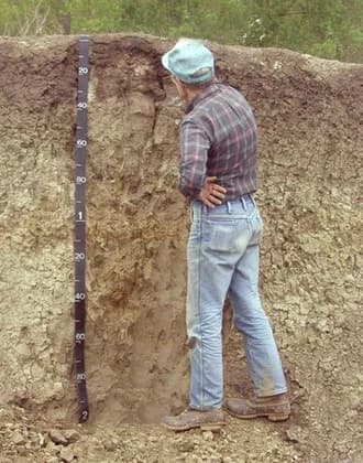 soil scientist