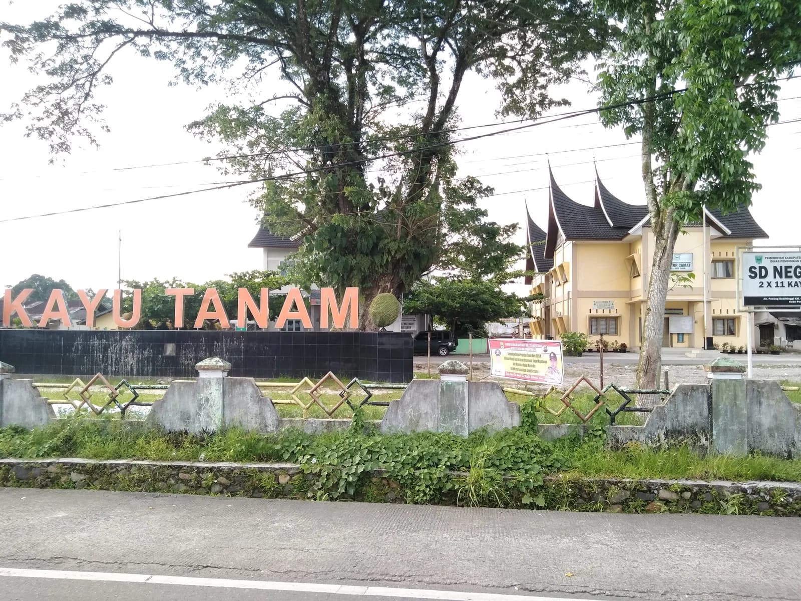 Kayu Tanam
