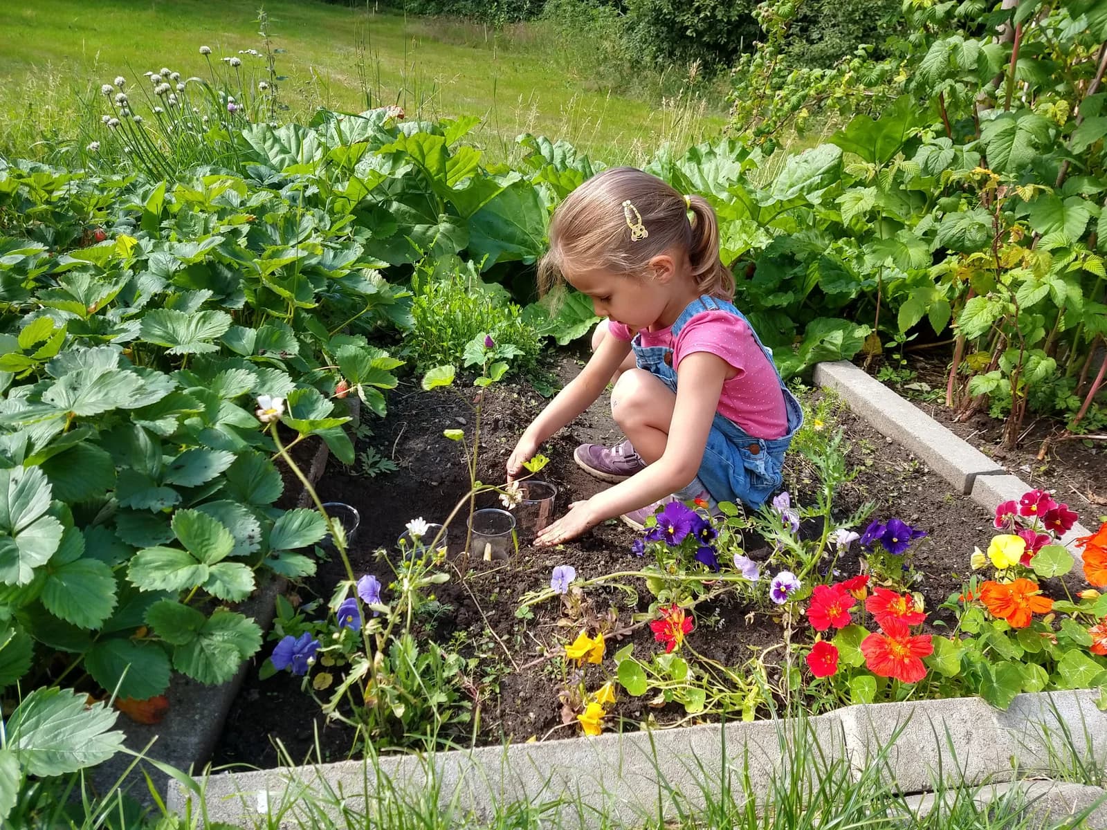 gardening