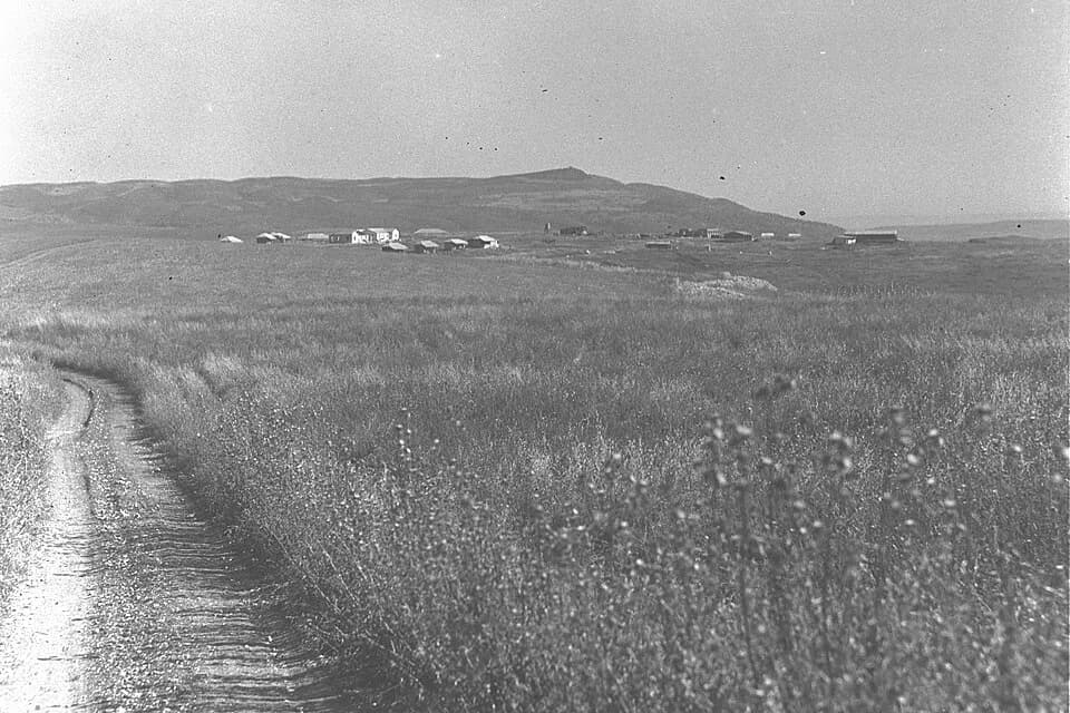 Ramat HaShofet