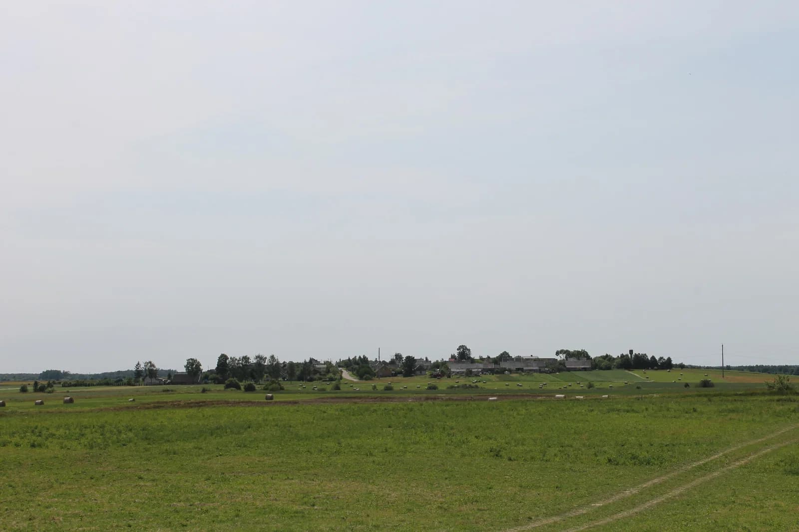 Dauginčiai
