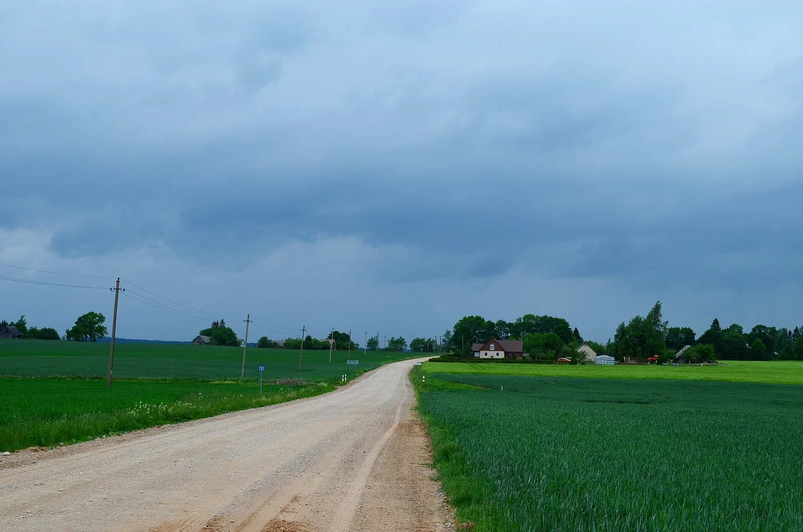 Daužnagiai