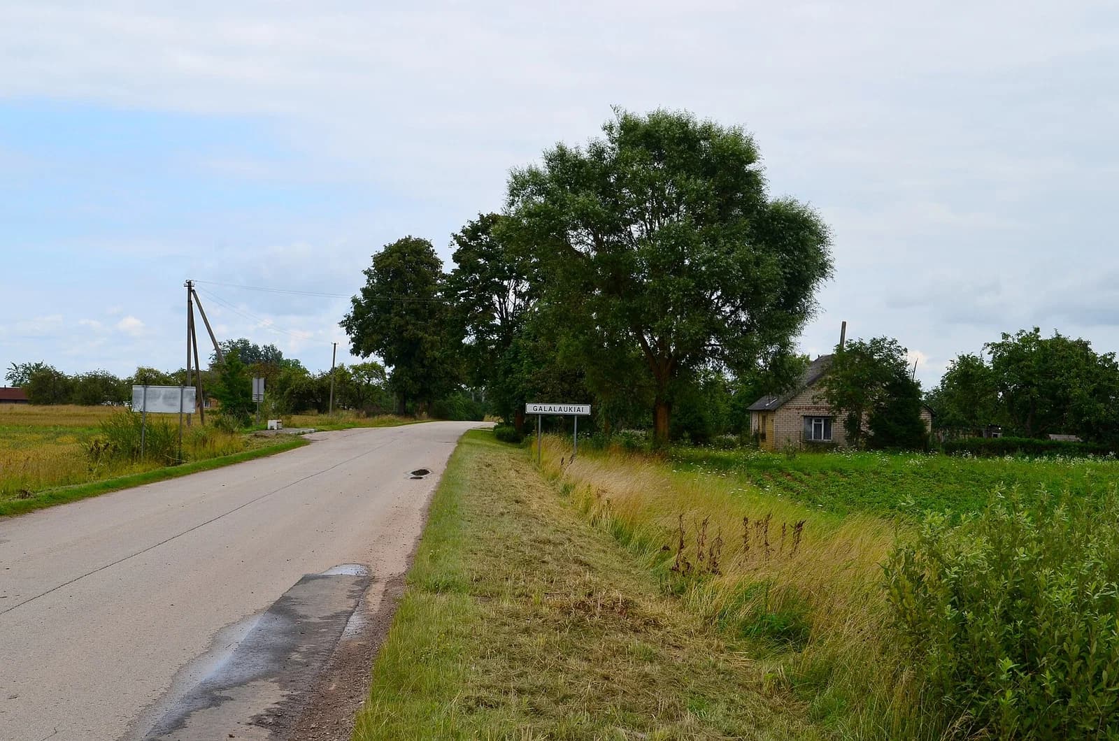 Galalaukiai