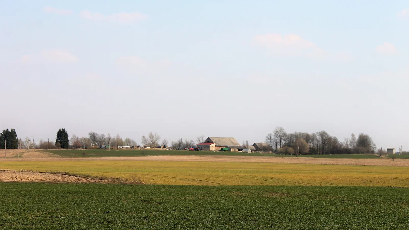 Gaudučiai