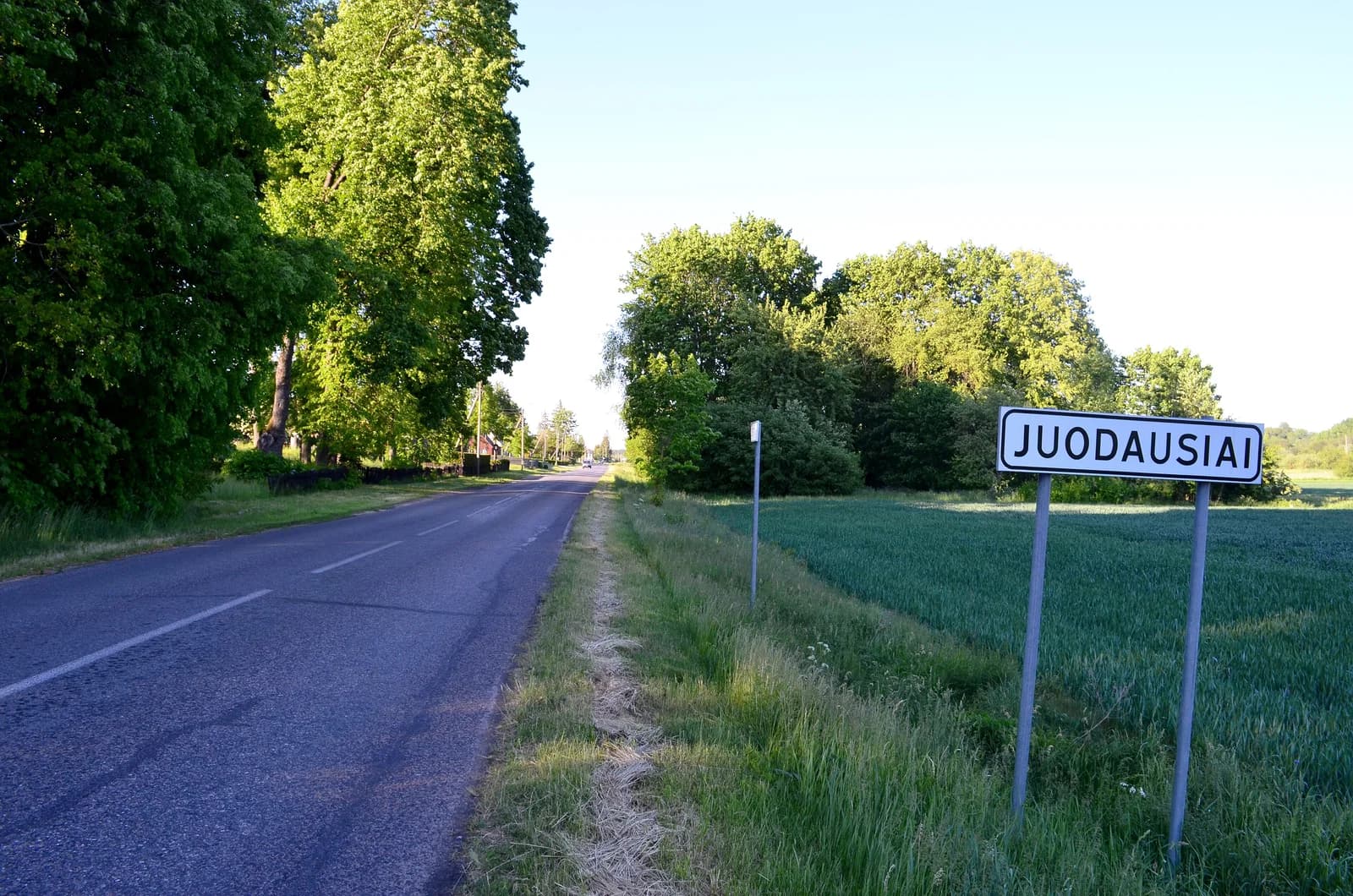 Juodausiai