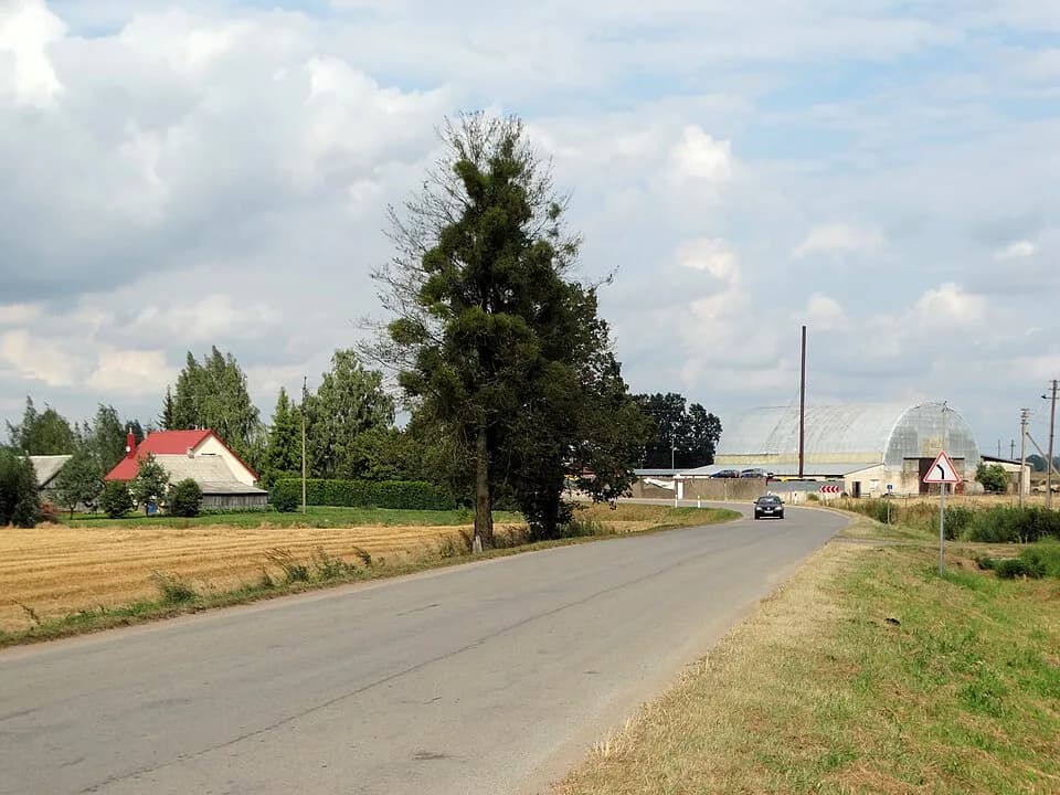 Juodbūdis