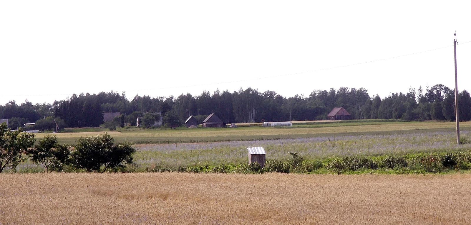 Karpiškiai