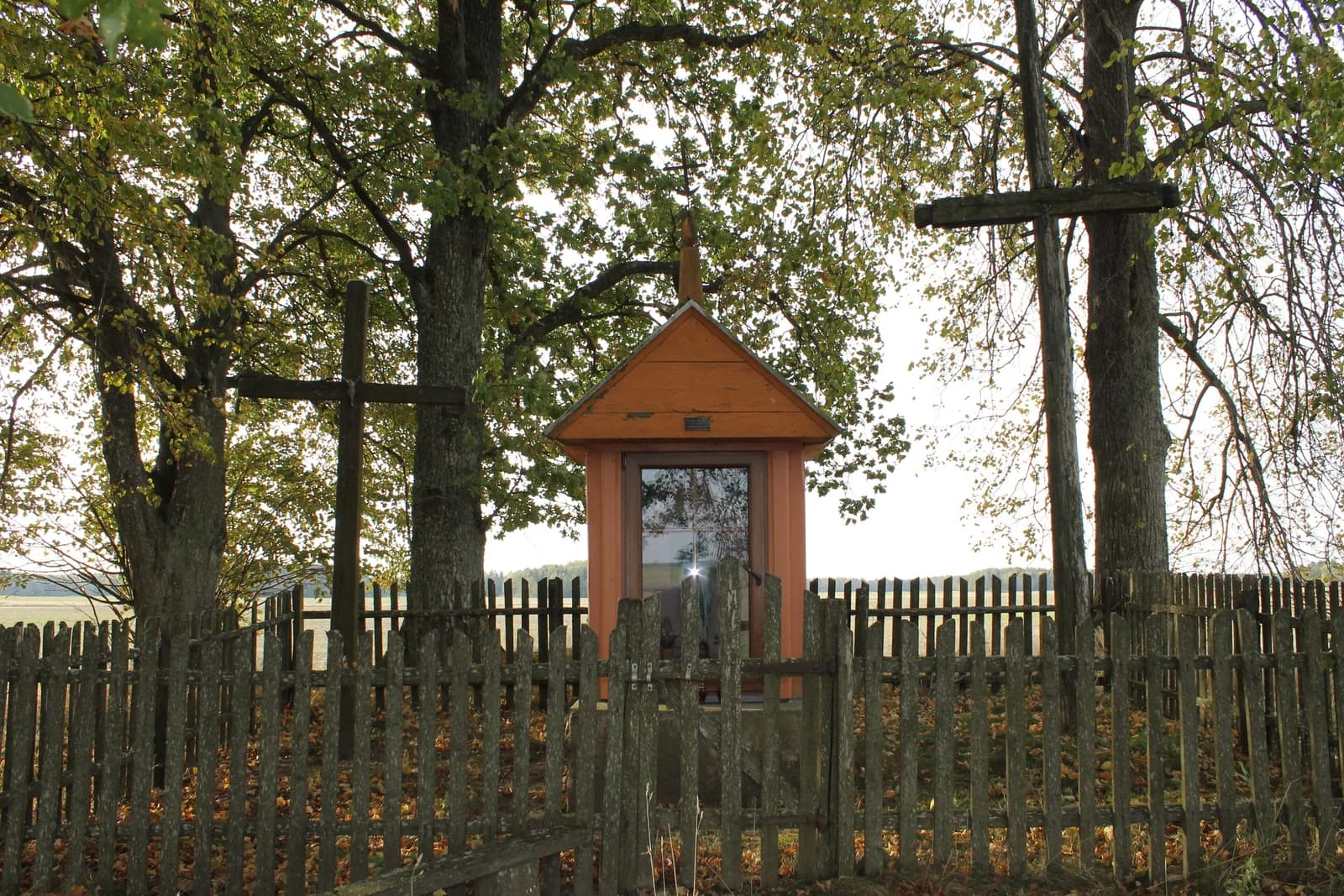 Klausgalvų Medsėdžiai