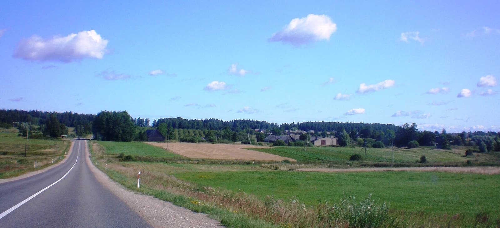 Leliūnai