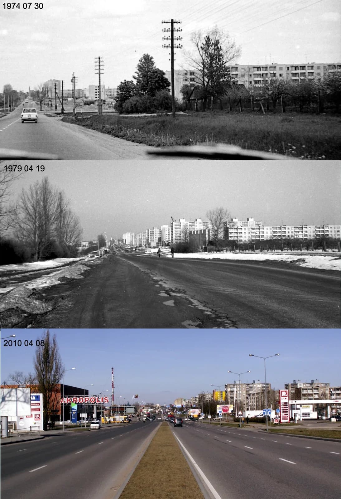 Lieporiai