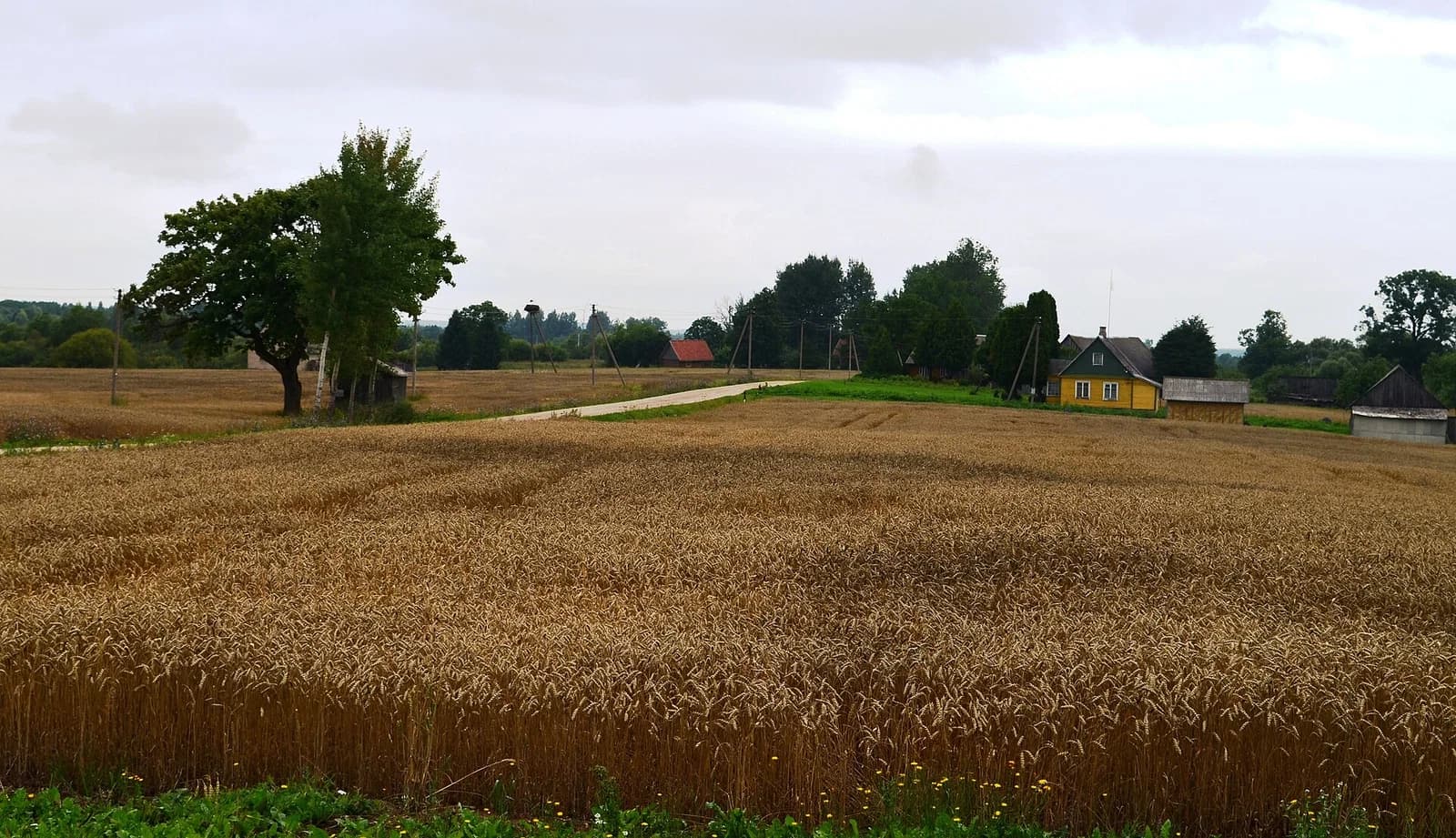Margėnai