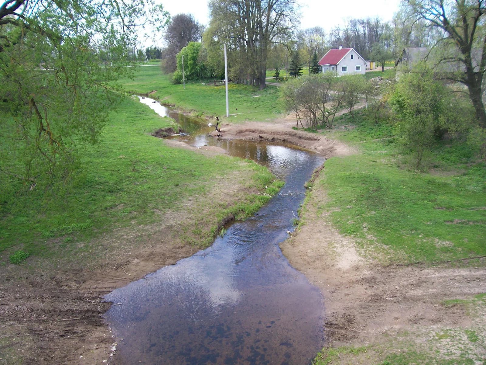 Martyniškis