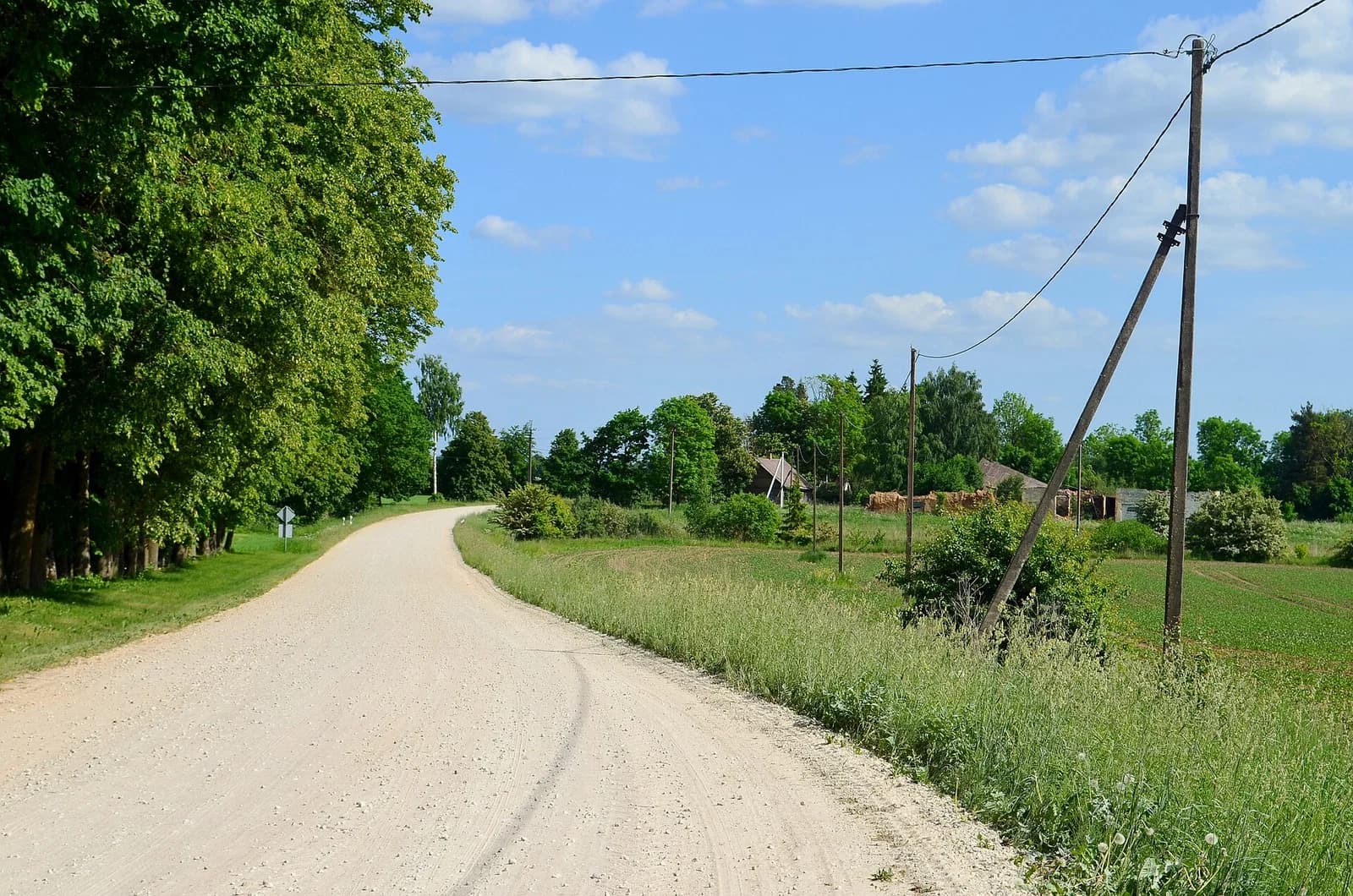 Mimaičiai