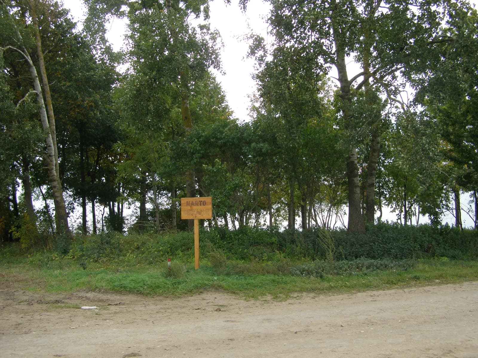Narto Naujiena