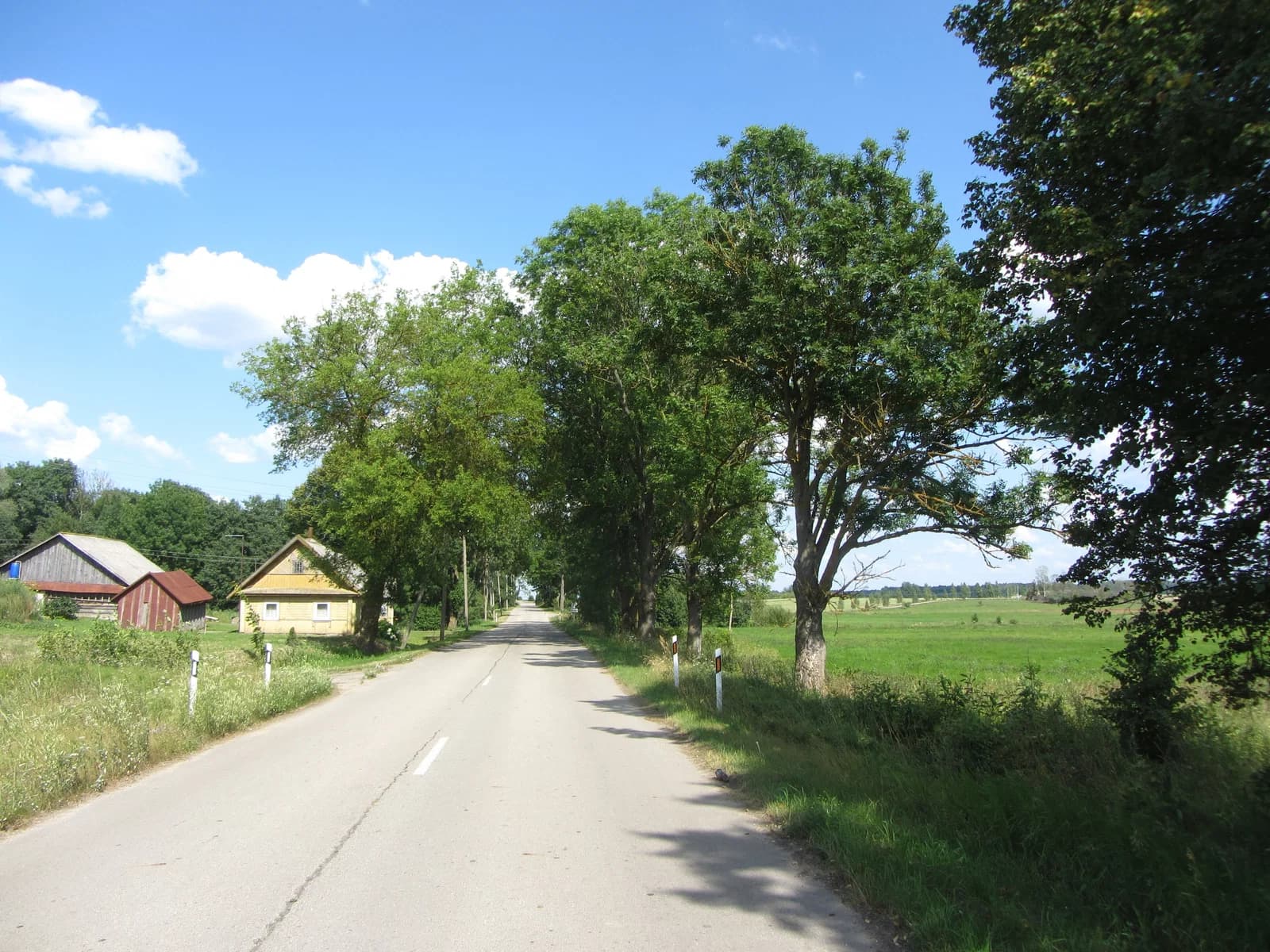 Paliesius