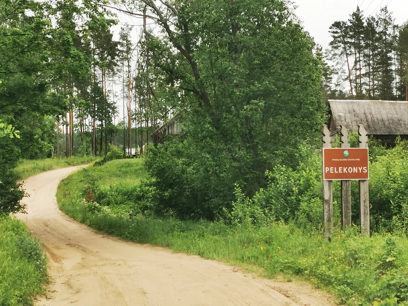 Pelekonys