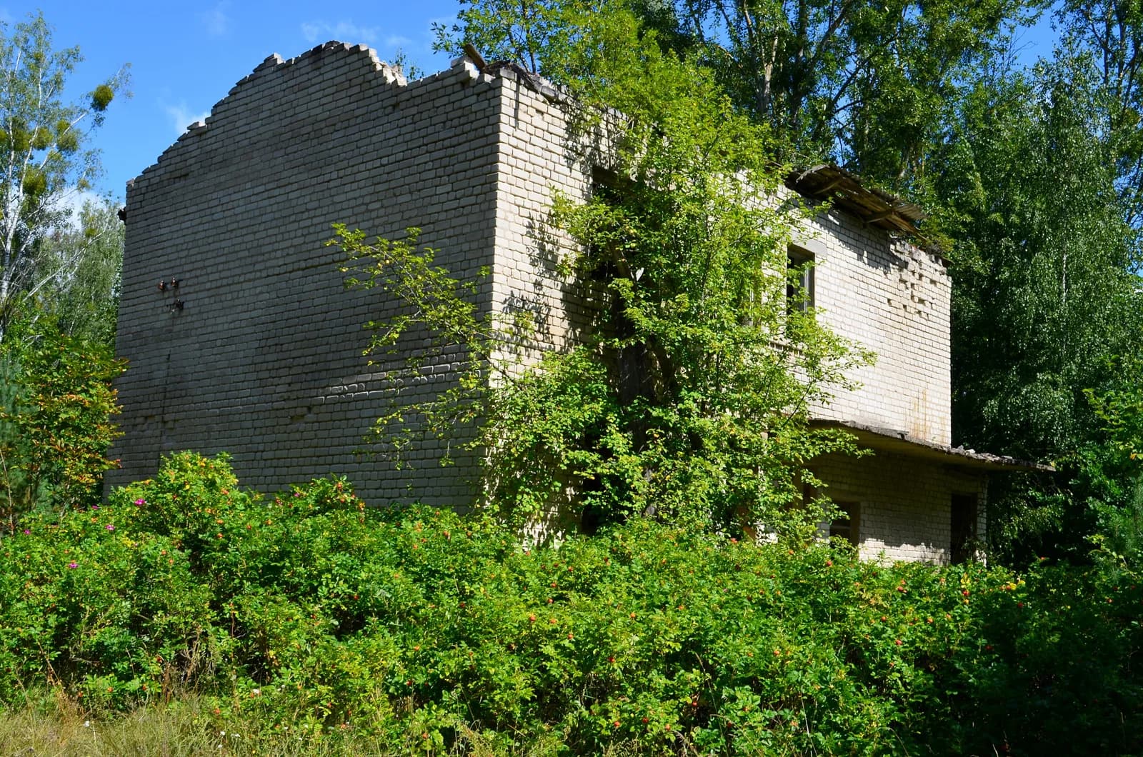 Pogarenda