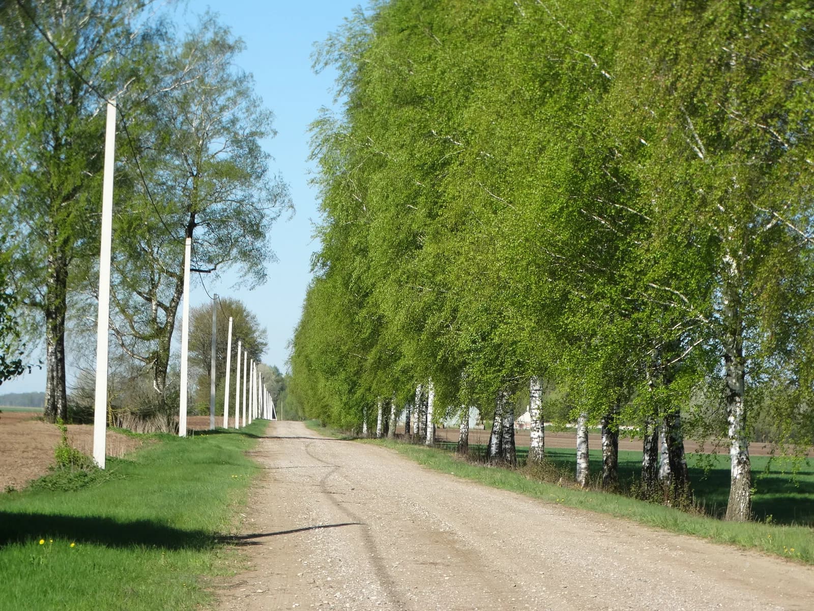 Rygiškiai
