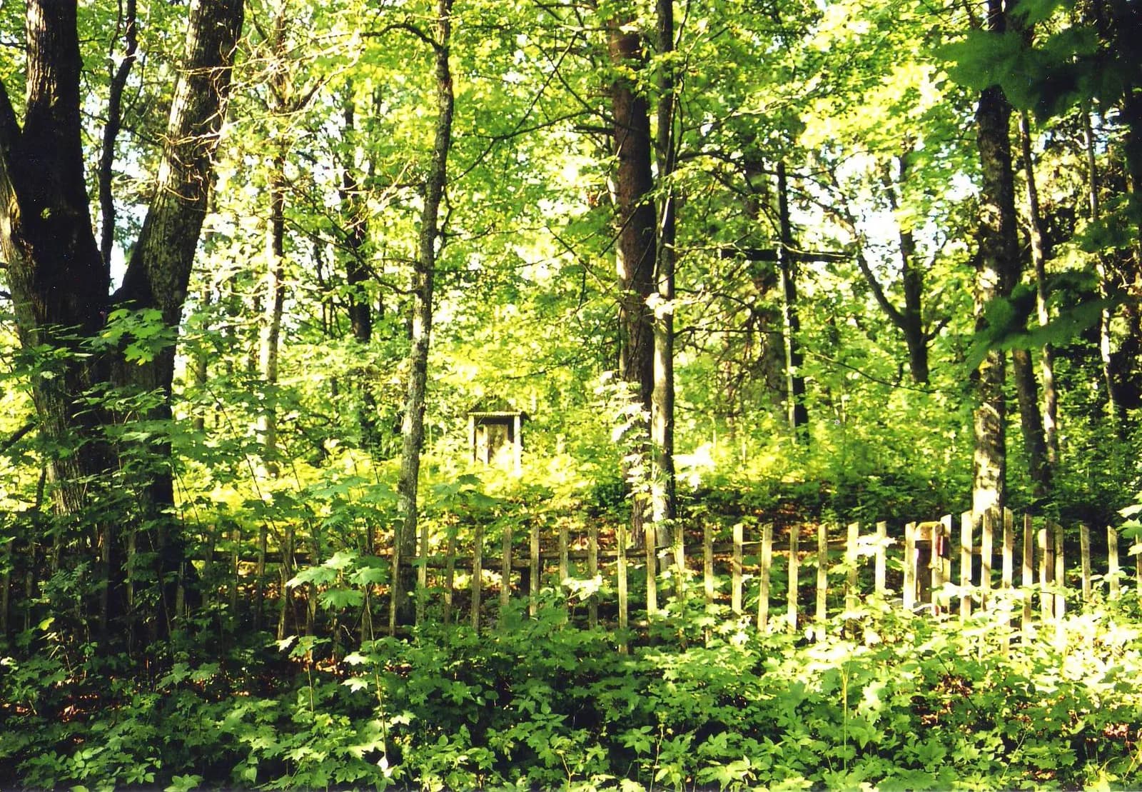 Vaineikių Medsėdžiai