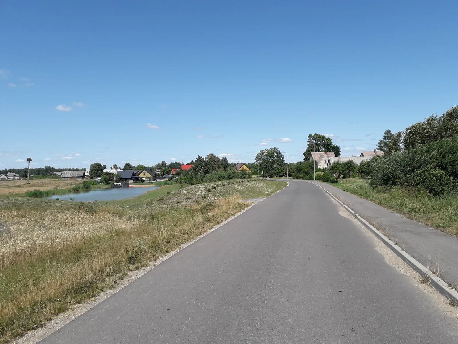 Vikonys