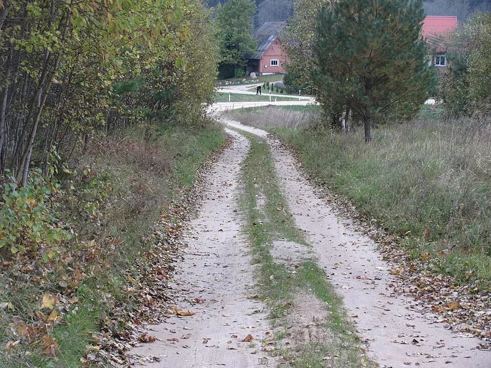 Vilkabrukiai