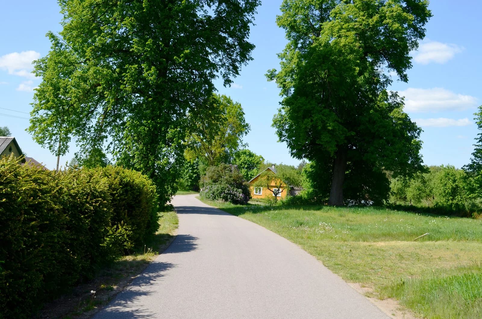 Vilkanastrai