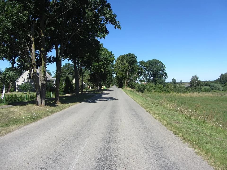 Vėžionys
