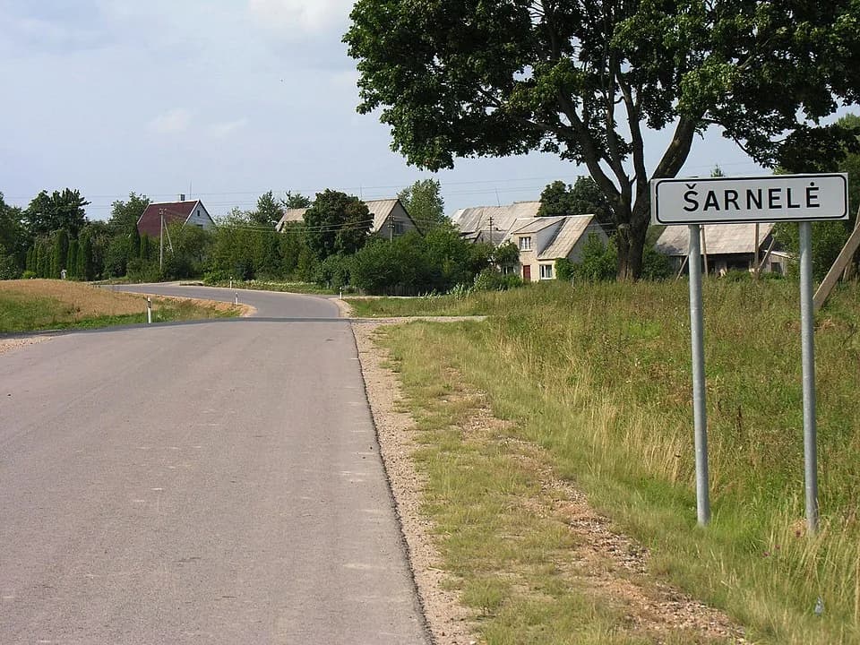 Šarnelė