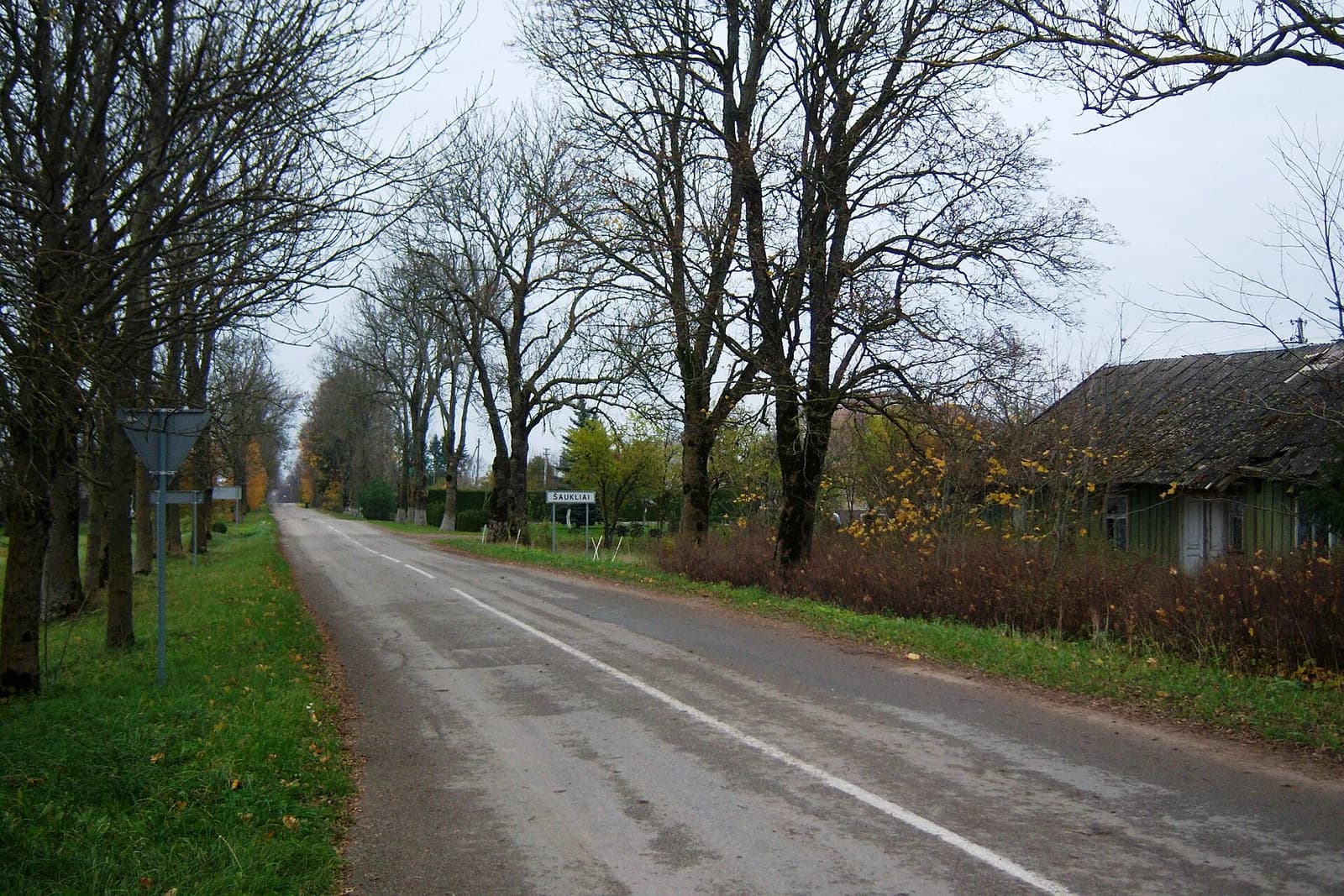 Šaukliai