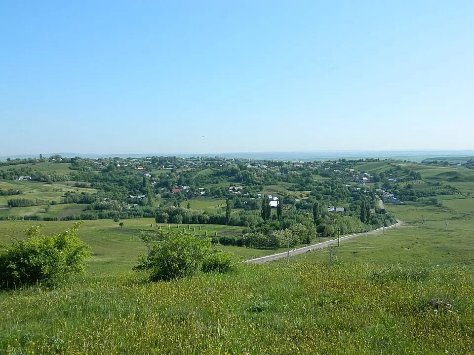 Horodniceni