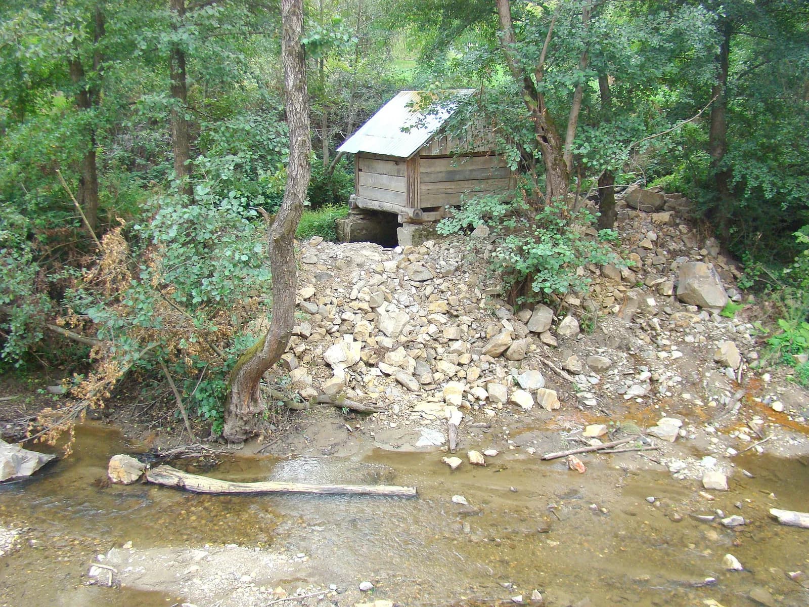 Mehadica