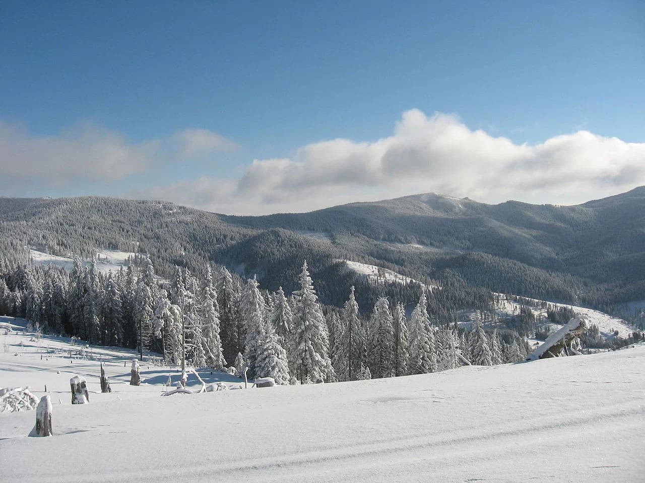 Mădăraș
