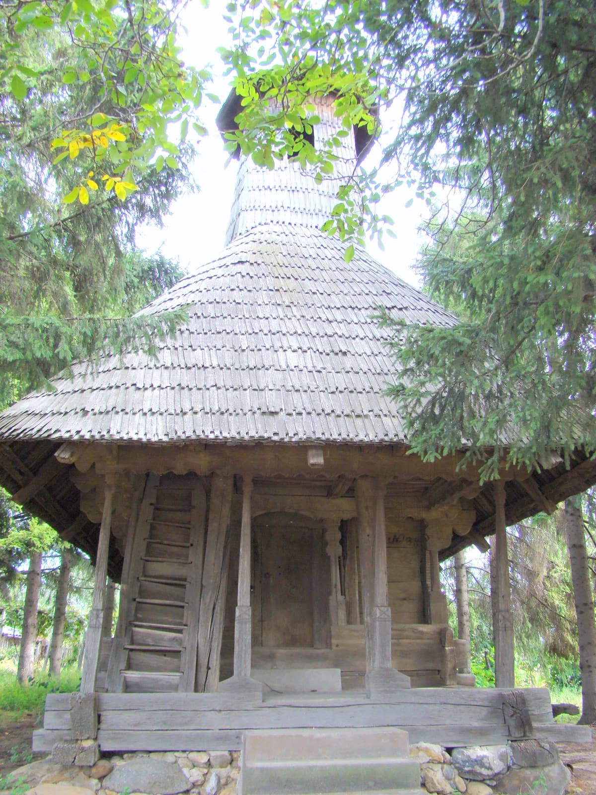 Scoarța