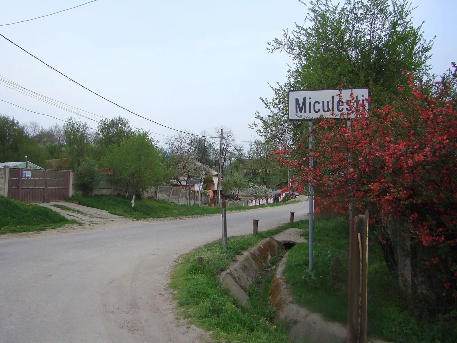 Miculești