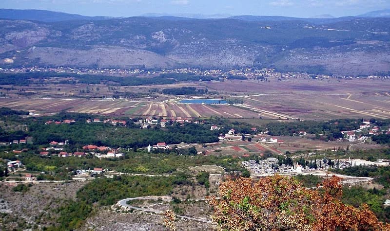 Drinovci