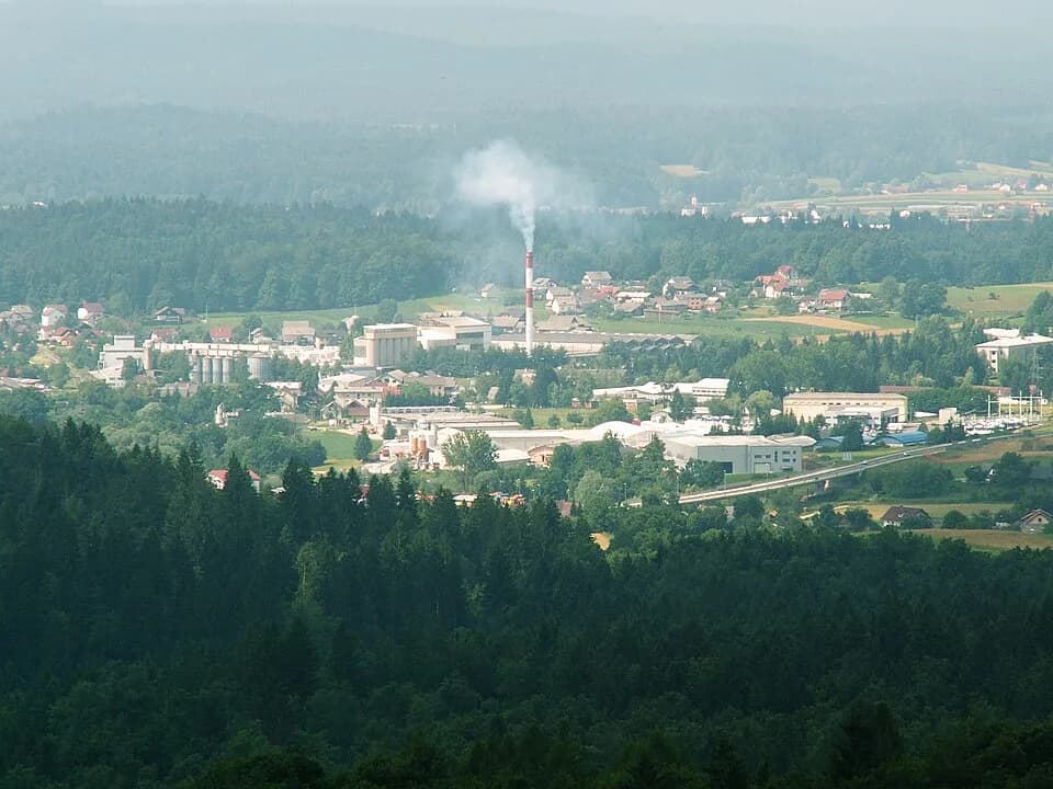 Bršljin (Novo mesto)