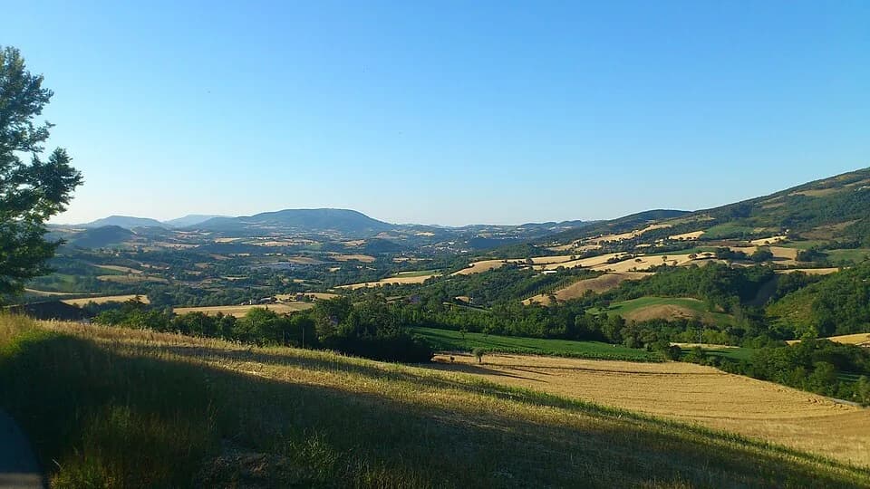 Marche
