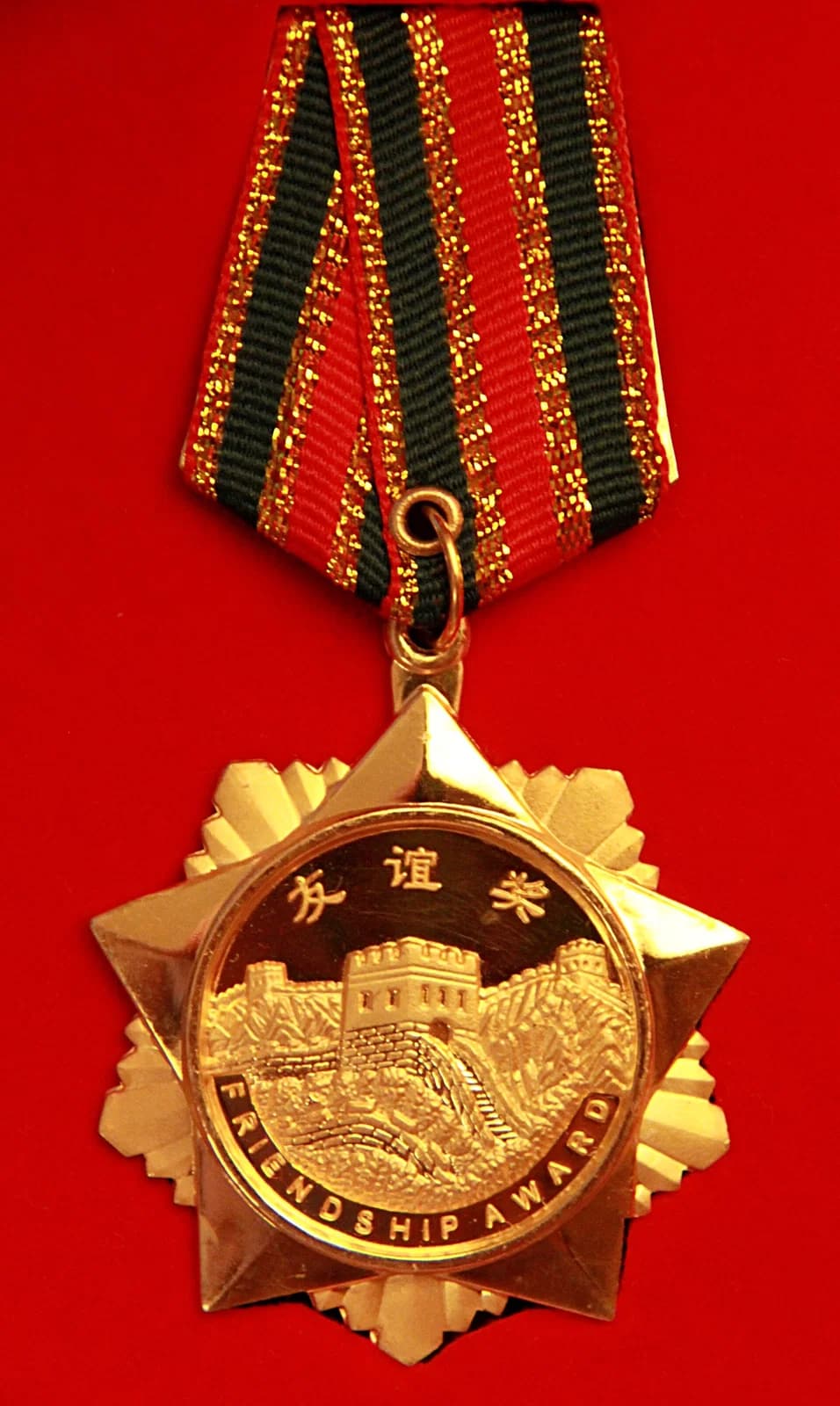 Friendship Award