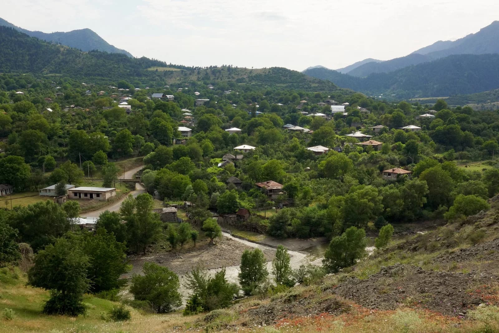 Dviri