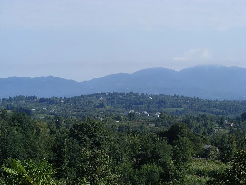 Mziani