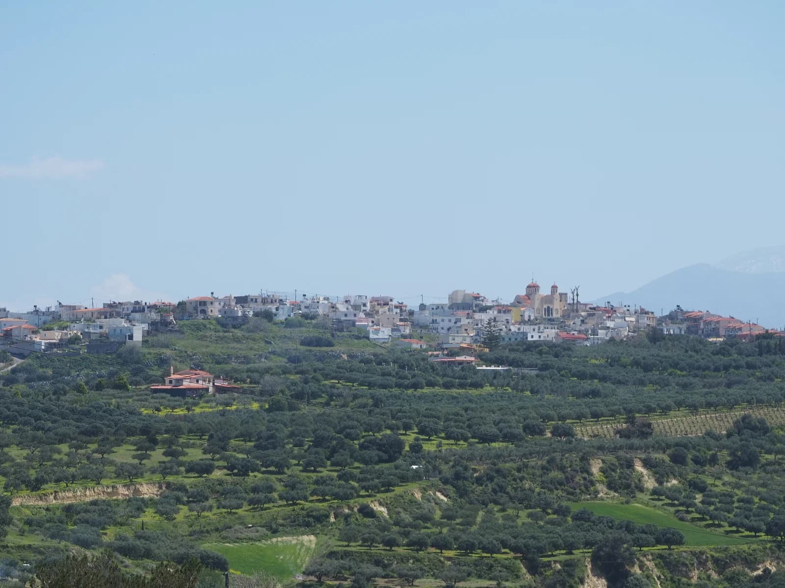 Elia, Irakleio