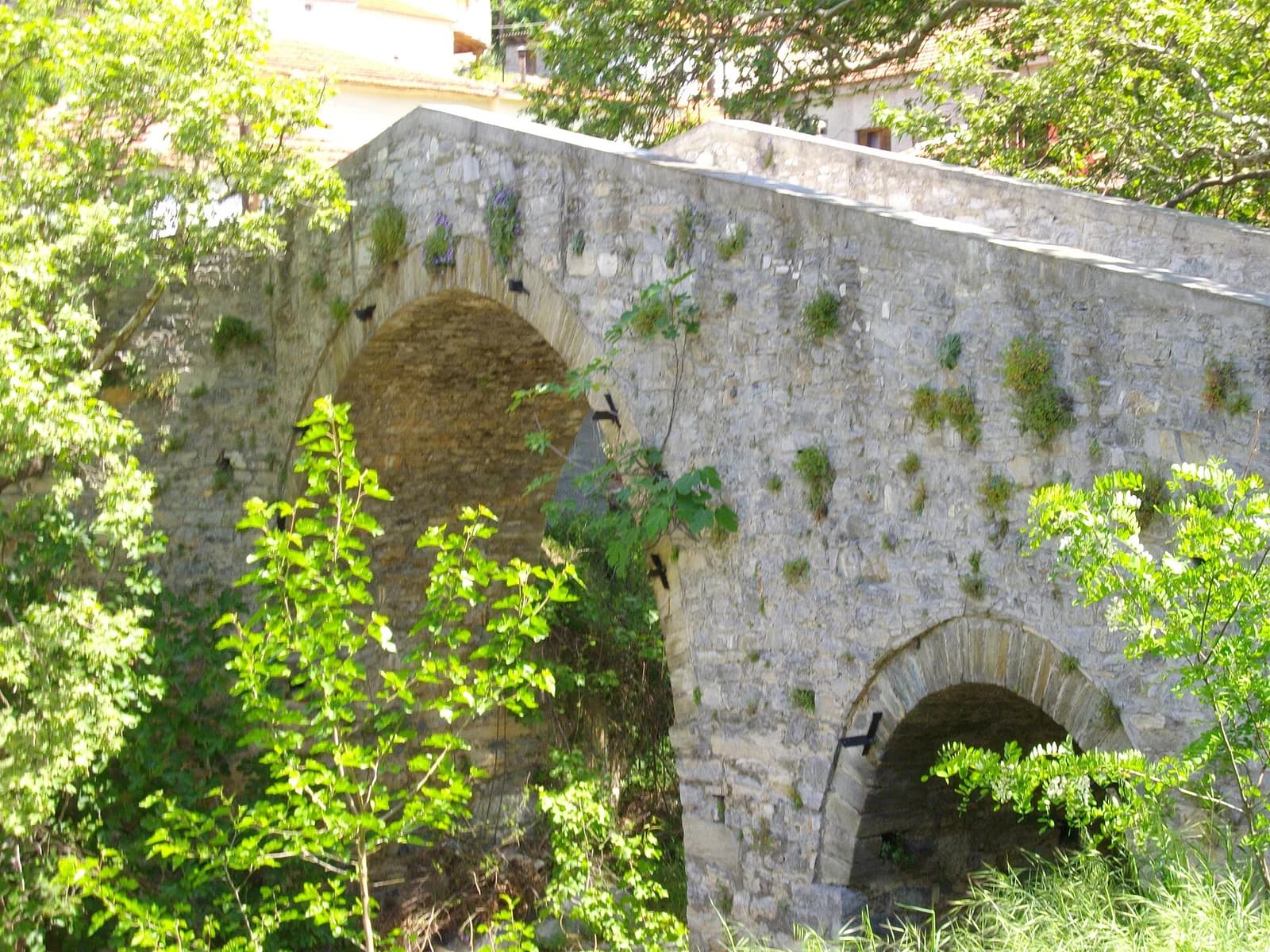 Kerasia