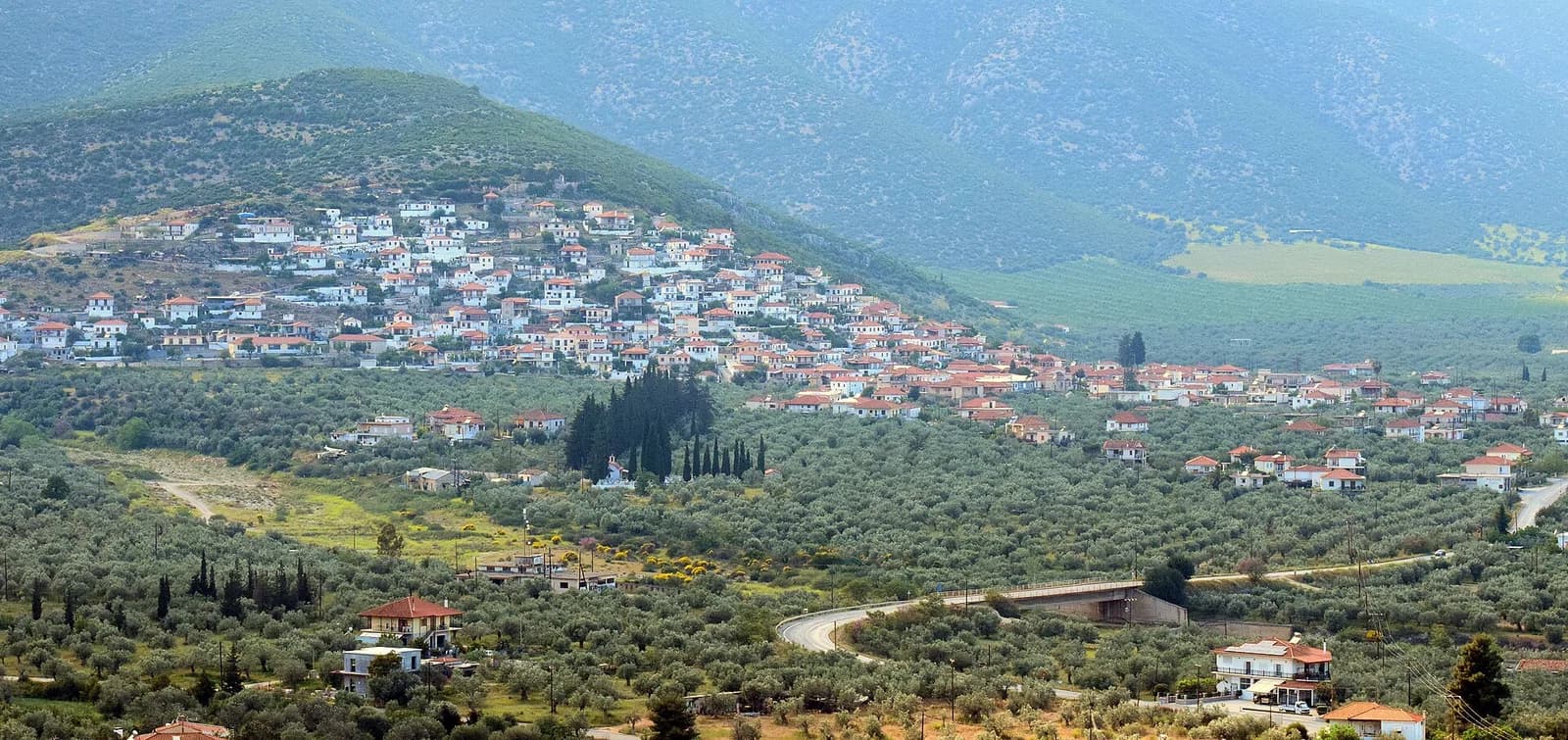 Korakovouni