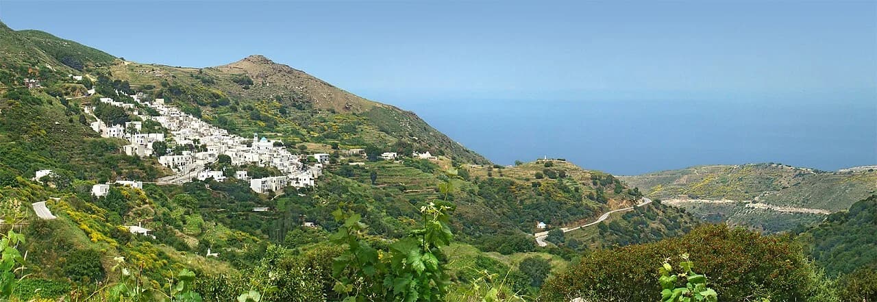 Koronida