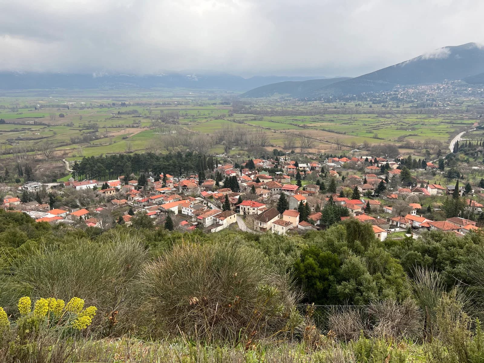 Lilaia