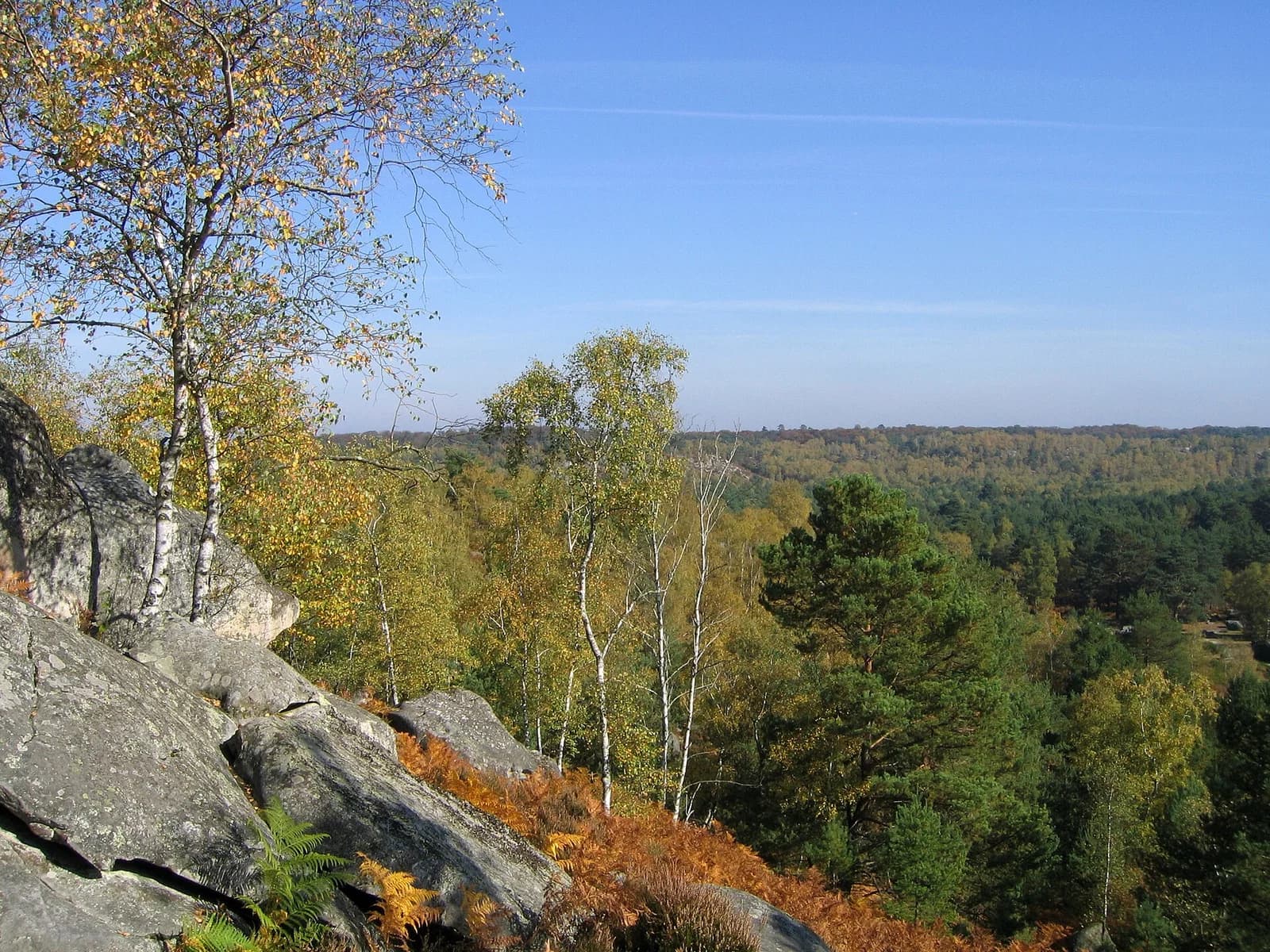 forest of Fontainebleau