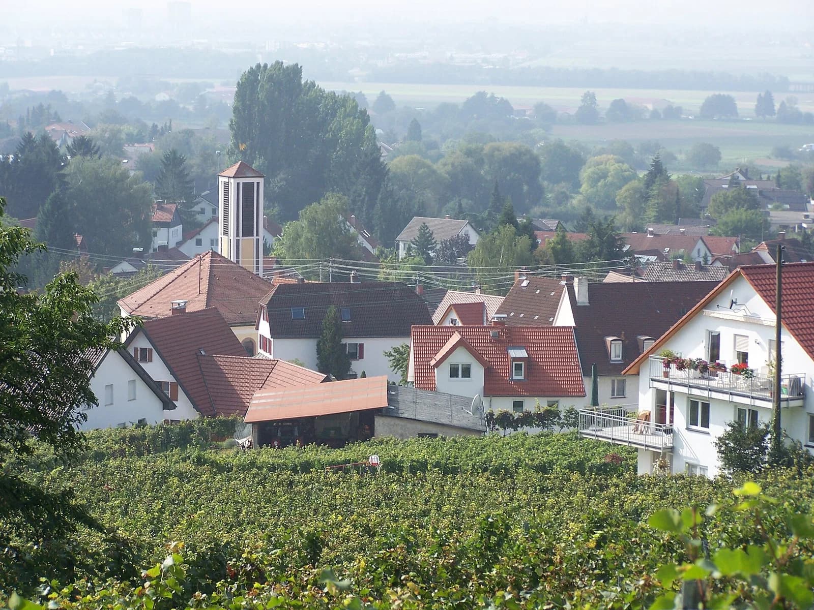 Hohensachsen