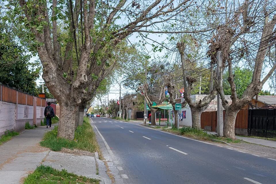Hijuelas